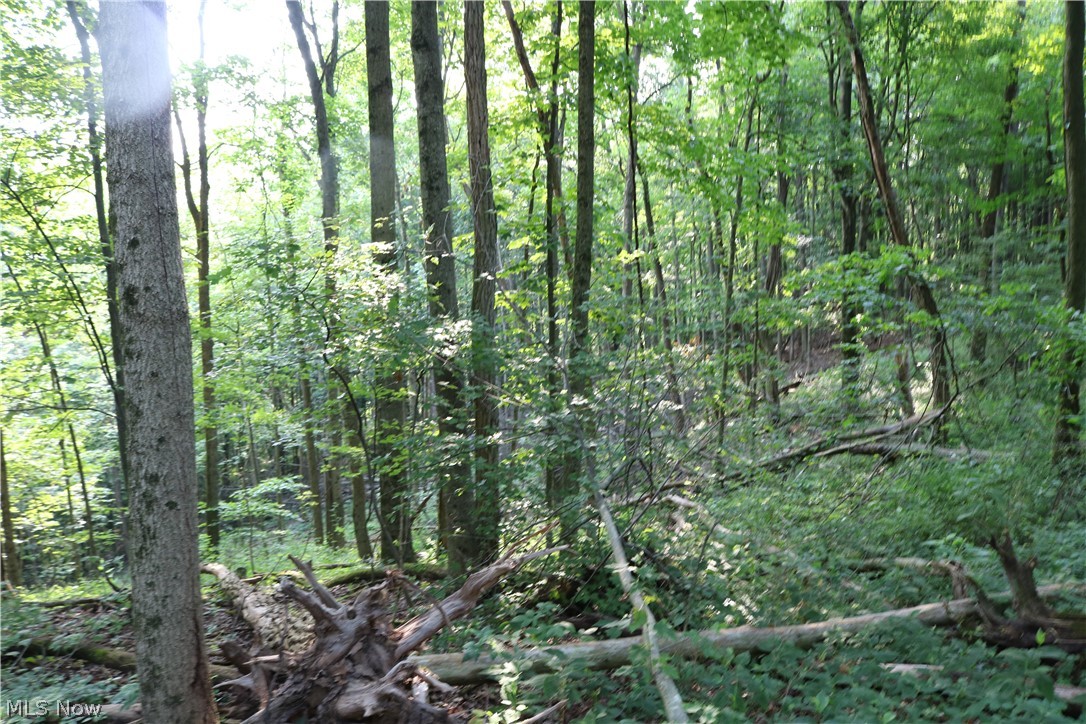 Township/Millcreek - Land