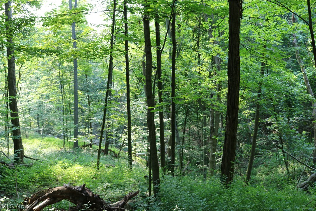 Township/Millcreek - Land