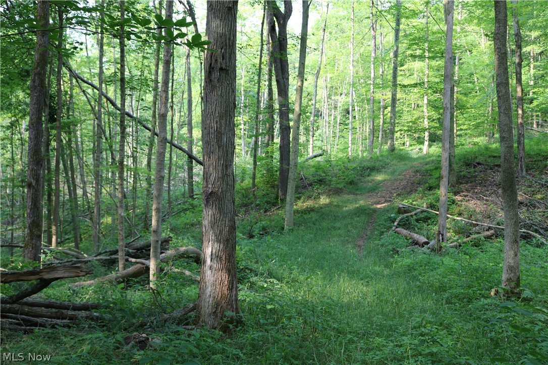 Township/Millcreek - Land