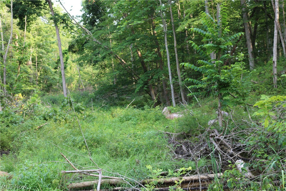 Township/Millcreek - Land