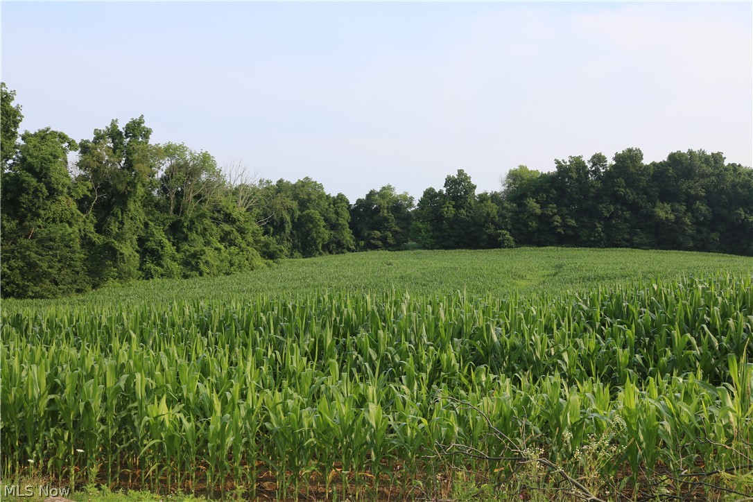 Township/Millcreek - Land