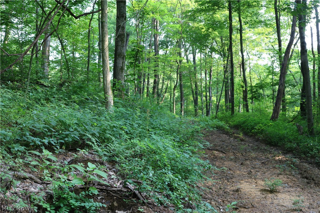 Township/Millcreek - Land