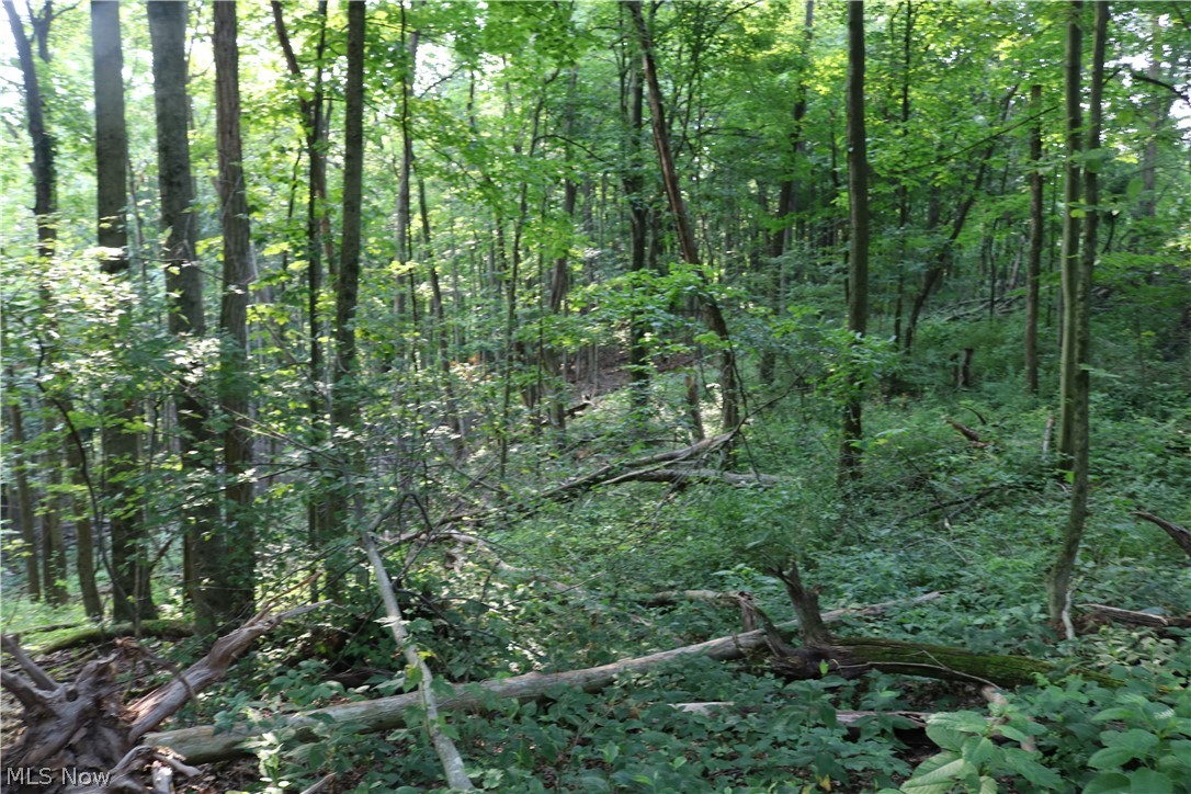 Township/Millcreek - Land