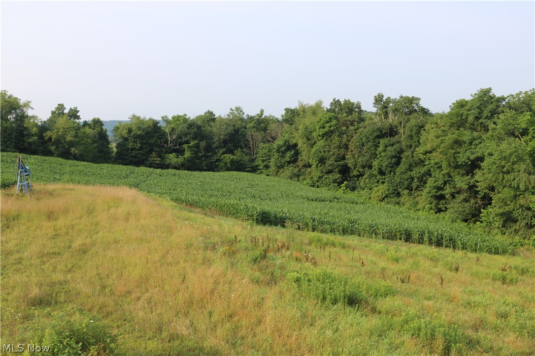 Township/Millcreek - Land