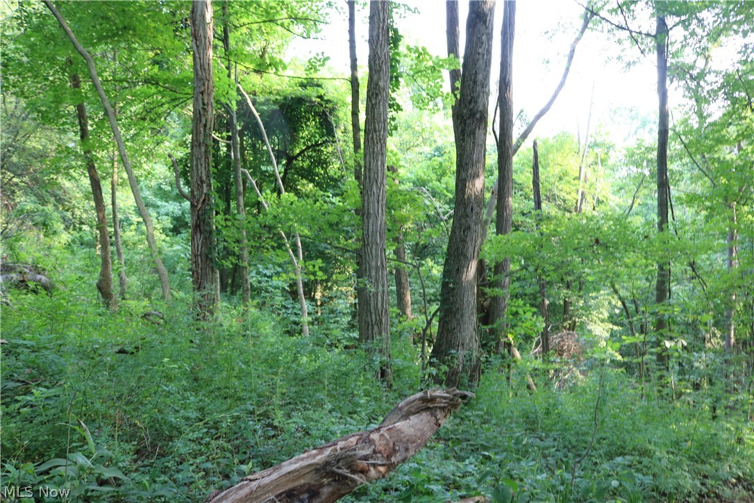 Township/Millcreek - Land