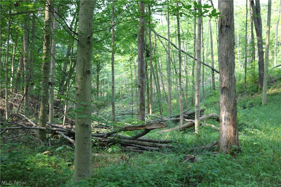 Township/Millcreek - Land