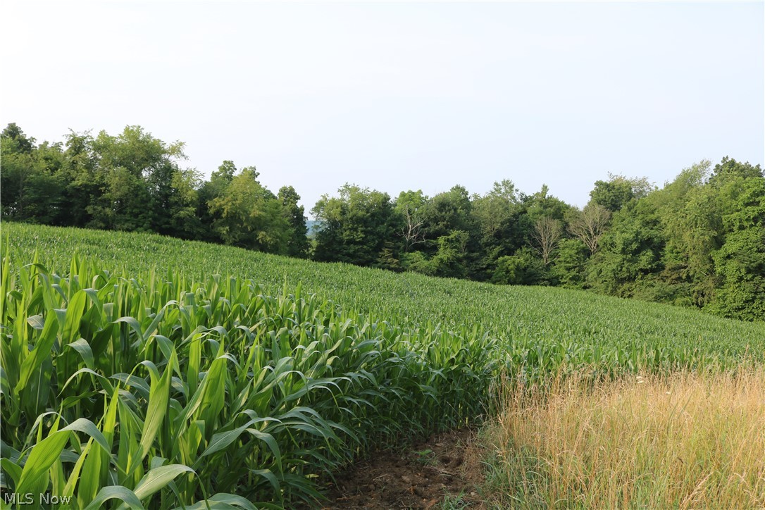 Township/Millcreek - Land