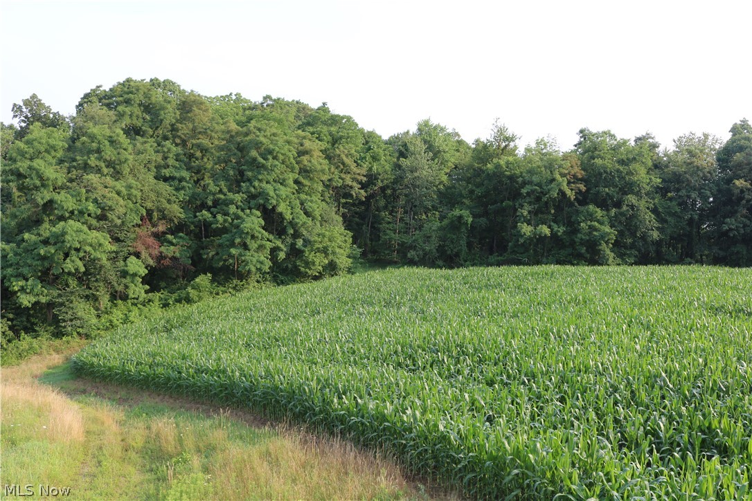 Township/Millcreek - Land