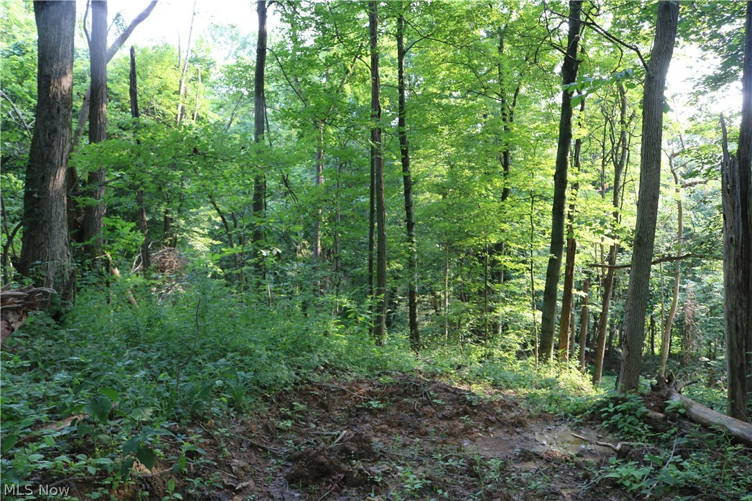 Township/Millcreek - Land