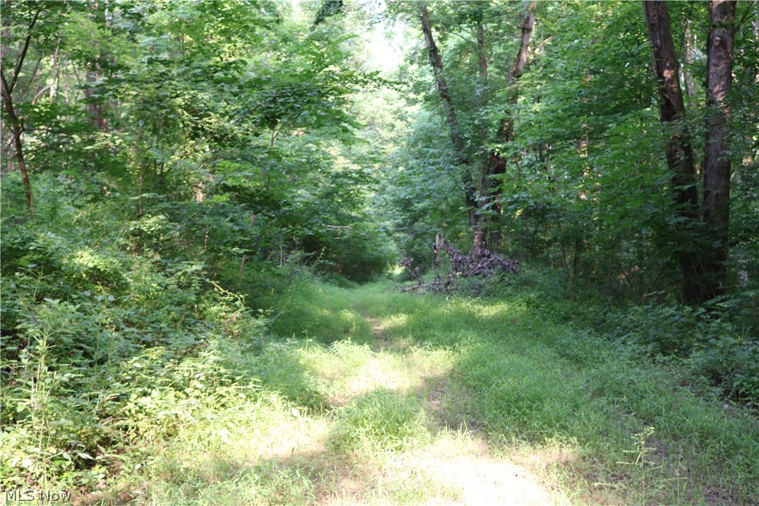 Township/Millcreek - Land