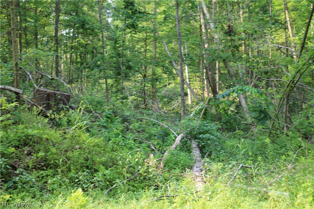 Township/Millcreek - Land