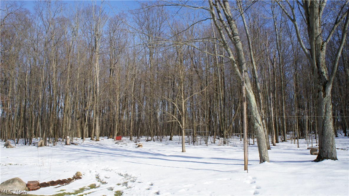 Township/Canfield 04 Div - Residential