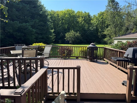 Tiny photo for Ravenna, OH 44266 (MLS # 5240710)