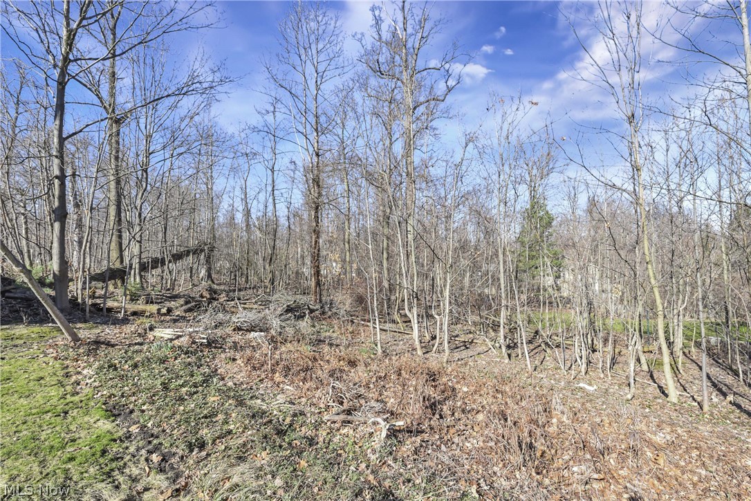 Morley Hills Estates - Residential