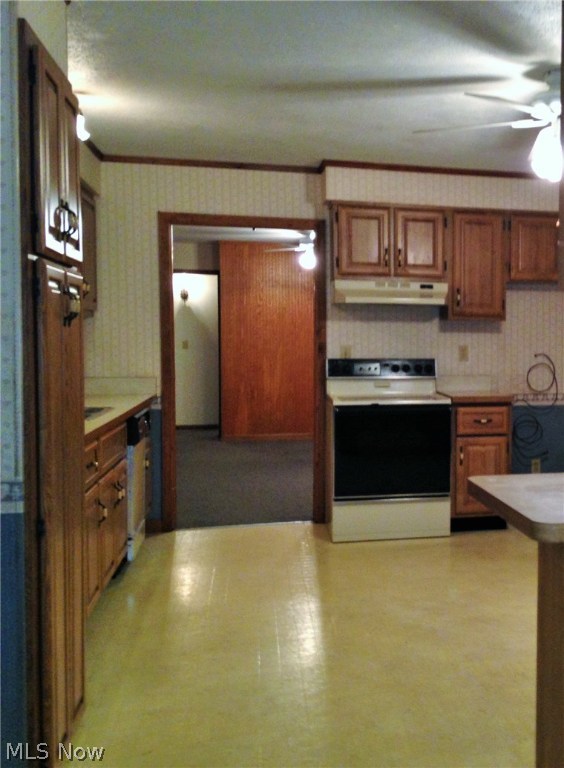 Berea Downs - Residential