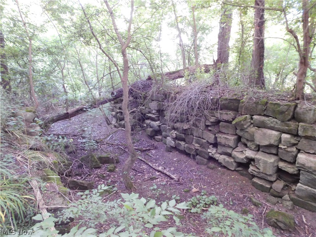 4.85 acres on the outskirts of Walhonding. Property is mostly wooded with some mature trees. The historic canal lock that was used before the Mohawk Dam was built resides on the property. Excellent weekend property with river views. Located in the 100 year flood plain. Walk at your leisure.