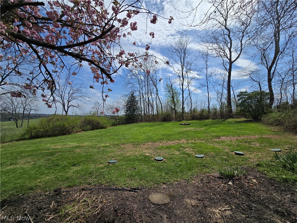 Shady Lane - Residential