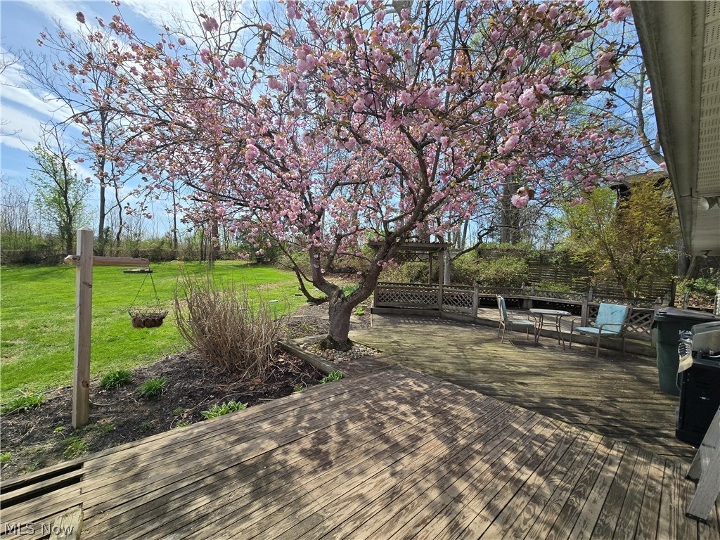 Shady Lane - Residential