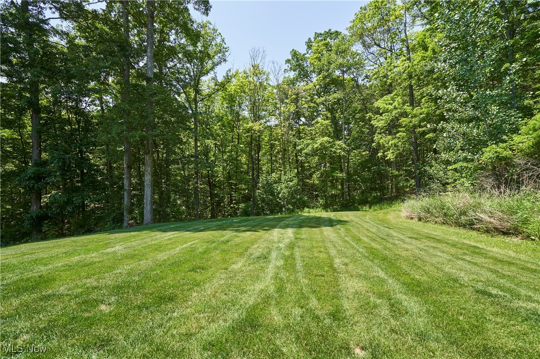 Richfield, Ohio 44286, United States, 6 Bedrooms Bedrooms, ,6 BathroomsBathrooms,Residential,Active,151323