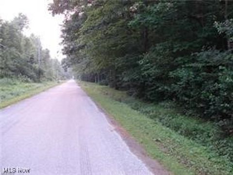 Vacant Land For Sale - Laskey Road<br/> Ashtabula County, Rome, OH 44085