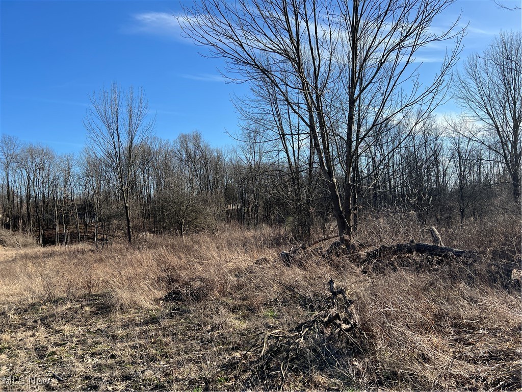 Churchill Road, Girard, Ohio image 25