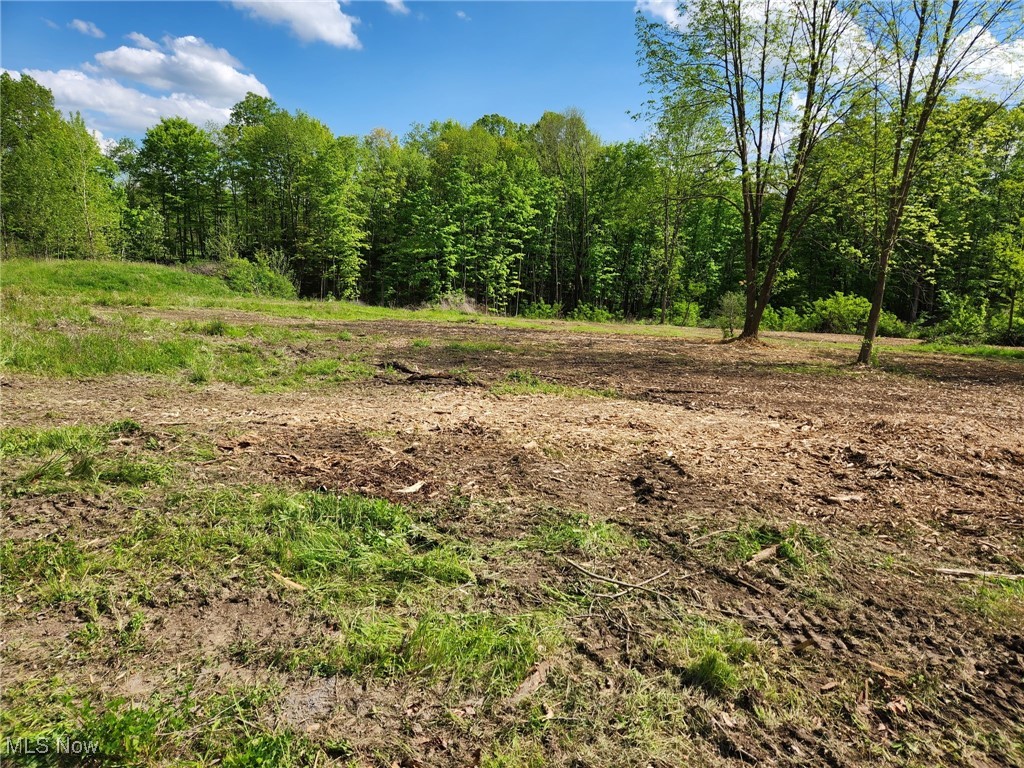 Churchill Road, Girard, Ohio image 1