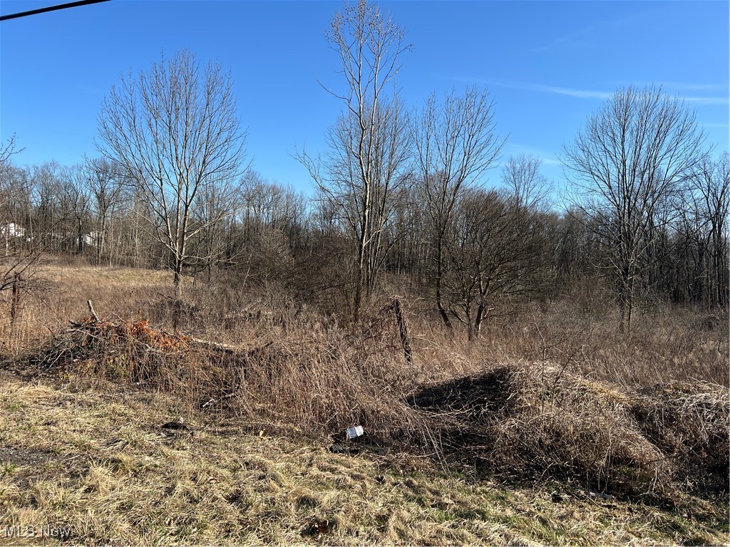 Churchill Road, Girard, Ohio image 7