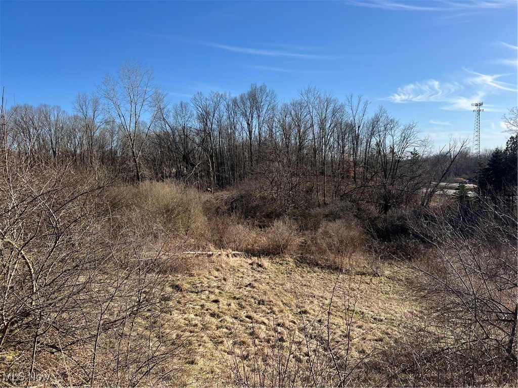 Churchill Road, Girard, Ohio image 1