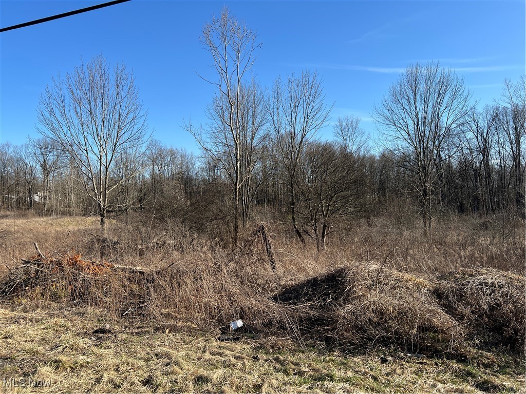 Churchill Road, Girard, Ohio image 5