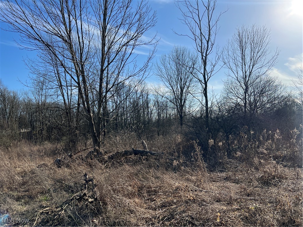 Churchill Road, Girard, Ohio image 29