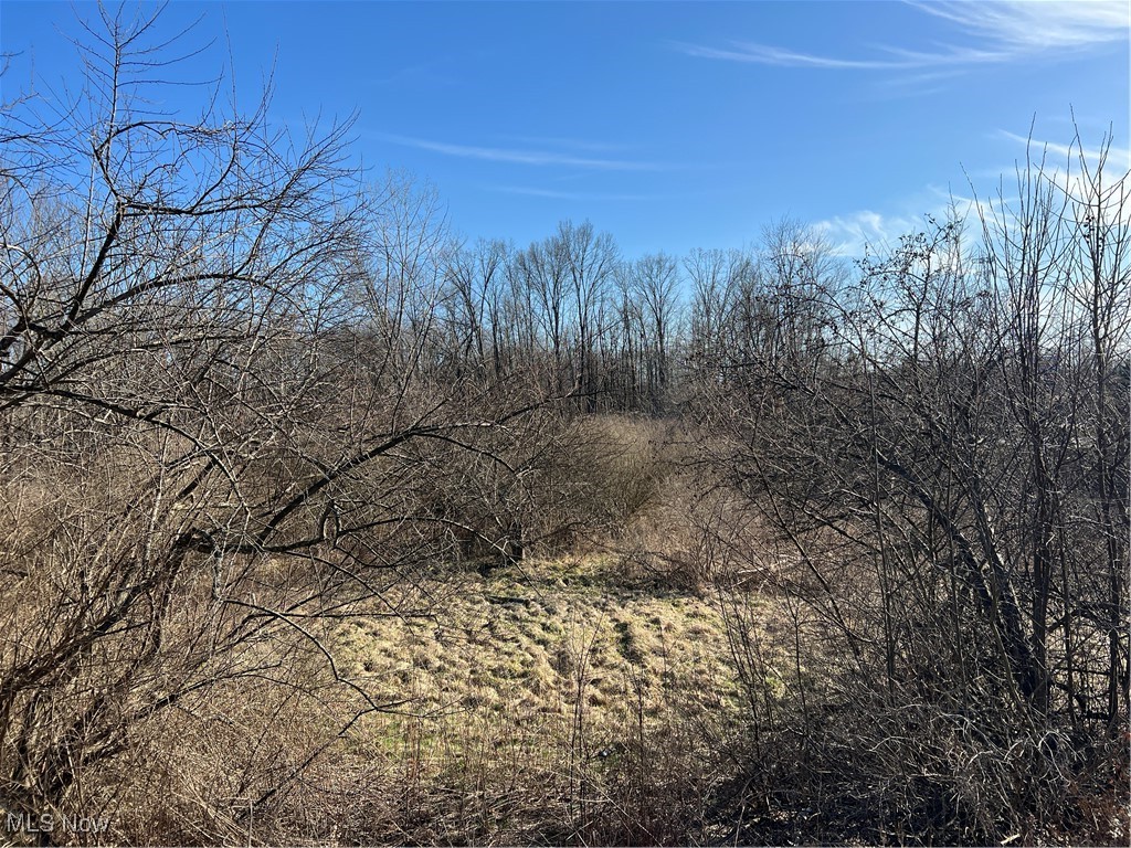 Churchill Road, Girard, Ohio image 8