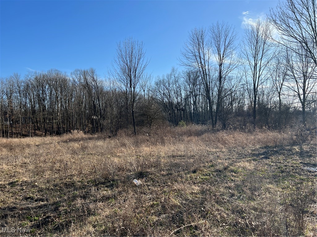 Churchill Road, Girard, Ohio image 2