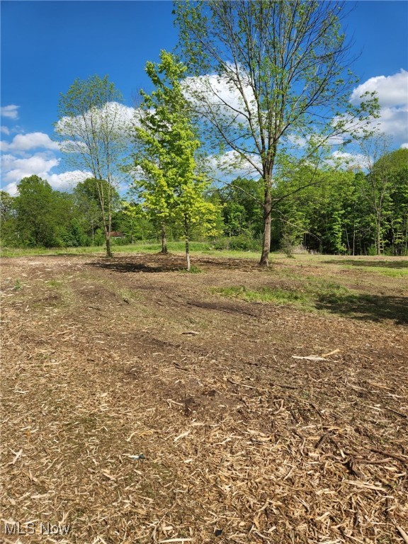 Churchill Road, Girard, Ohio image 2
