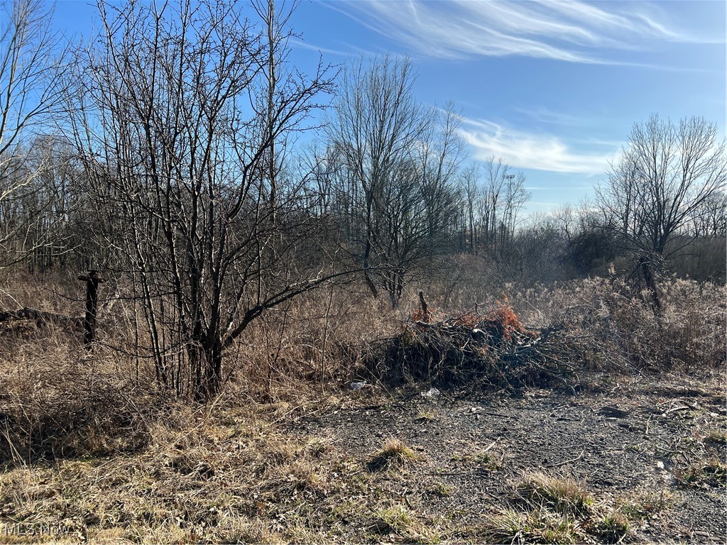 Churchill Road, Girard, Ohio image 21