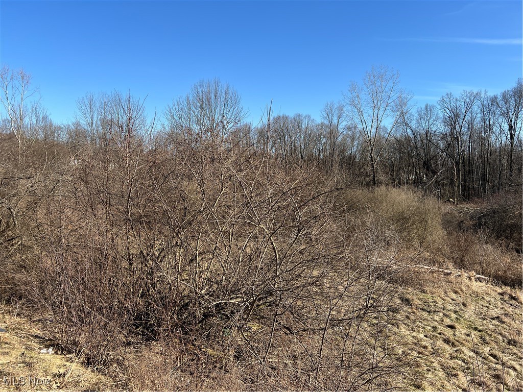 Churchill Road, Girard, Ohio image 12