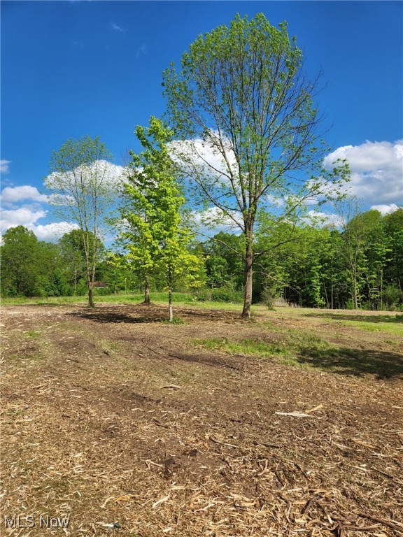 Churchill Road, Girard, Ohio image 6