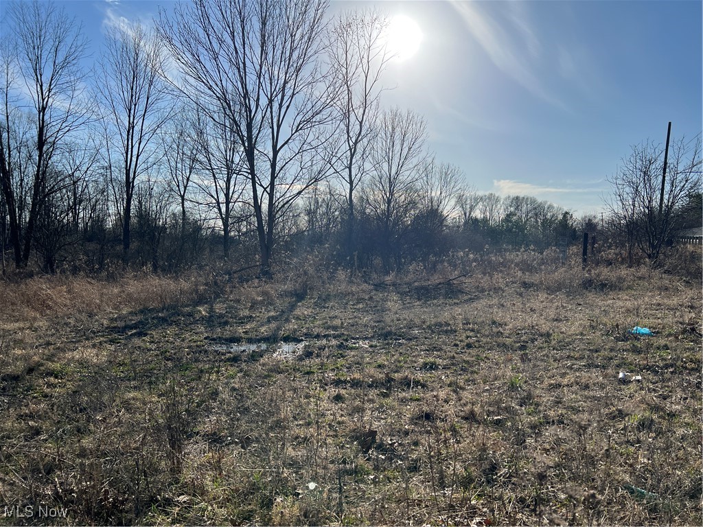 Churchill Road, Girard, Ohio image 27