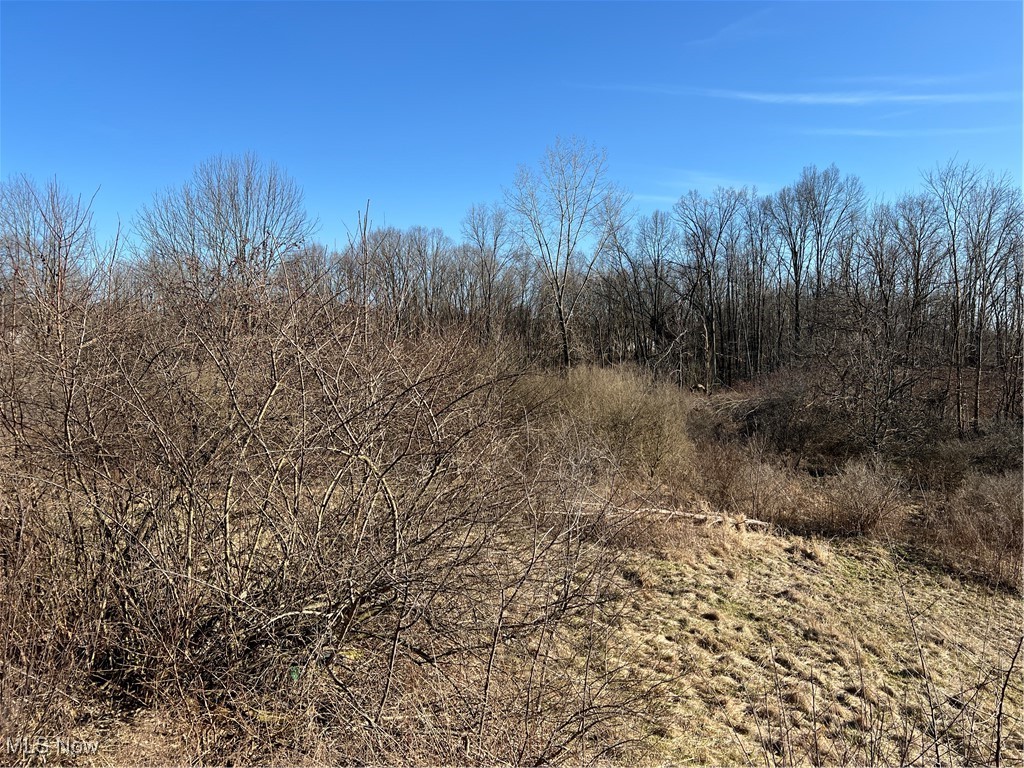 Churchill Road, Girard, Ohio image 10