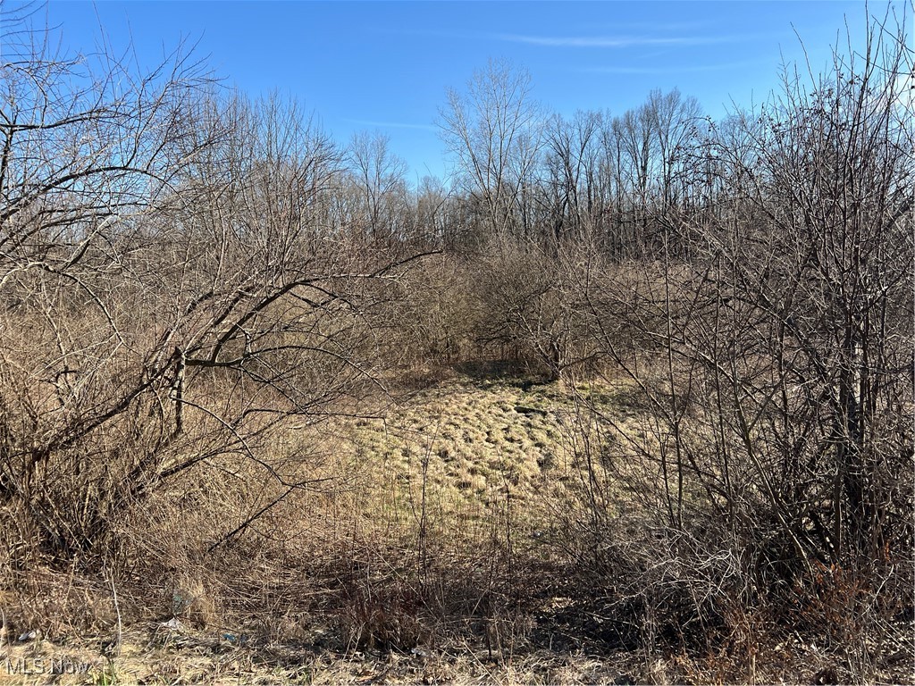 Churchill Road, Girard, Ohio image 14