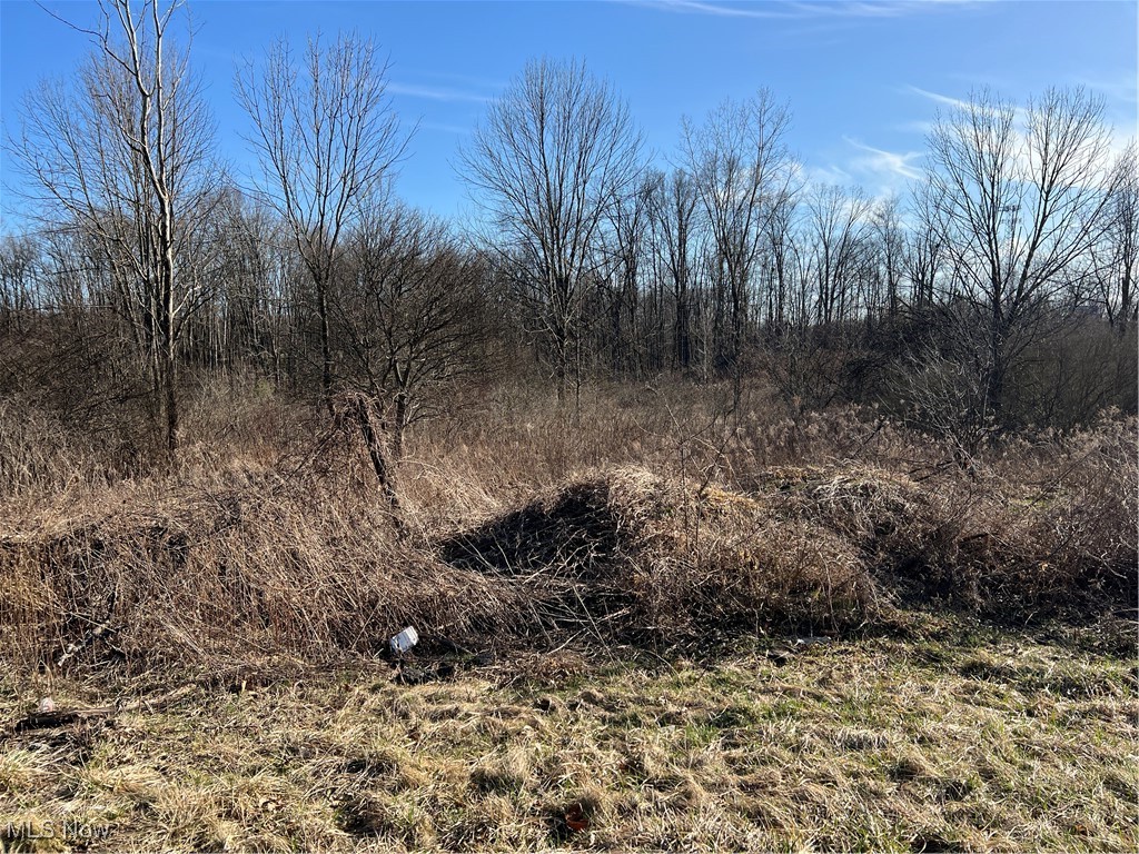 Churchill Road, Girard, Ohio image 16