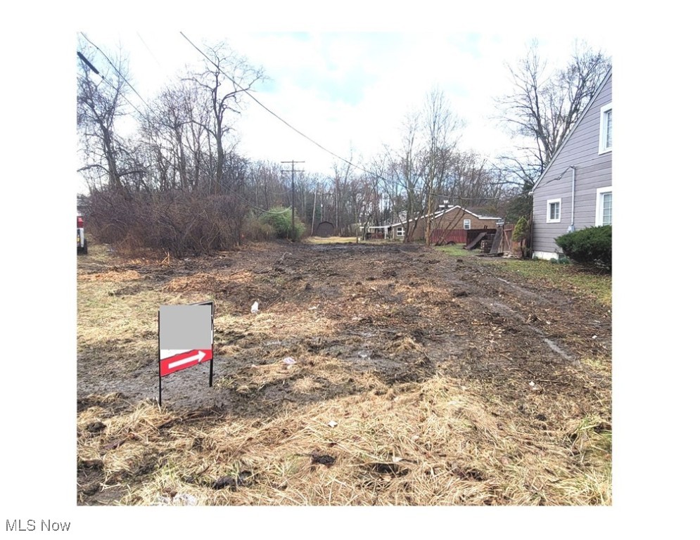 VL Aurora Road, Solon, Ohio image 3
