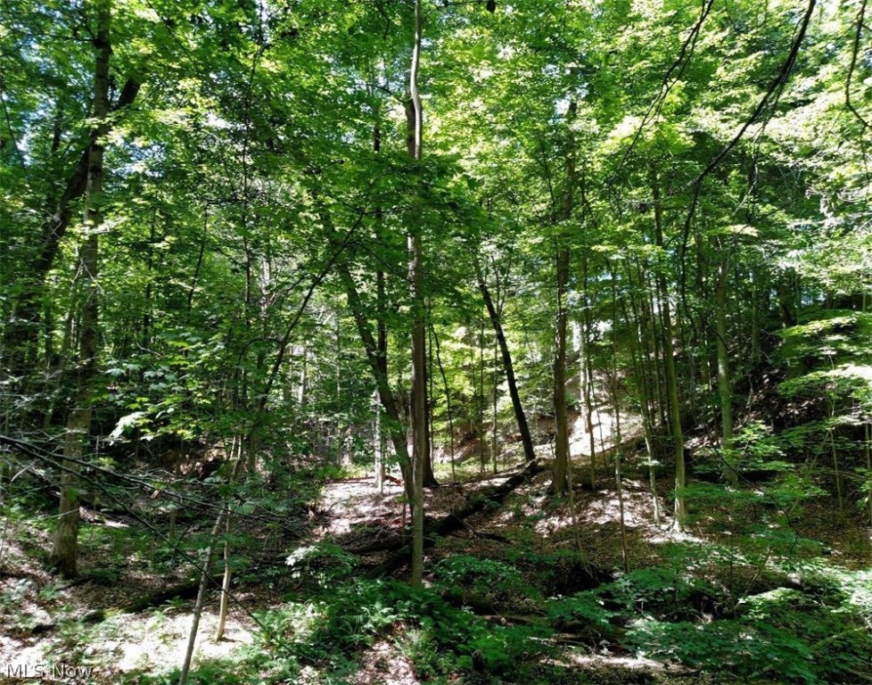 Shoenwald Farms - Land