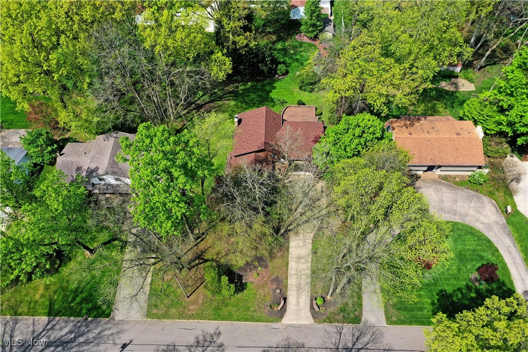 6632 Harrington Avenue, Youngstown, Ohio image 5