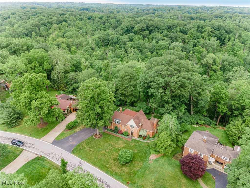 Chippewa Hills - Residential