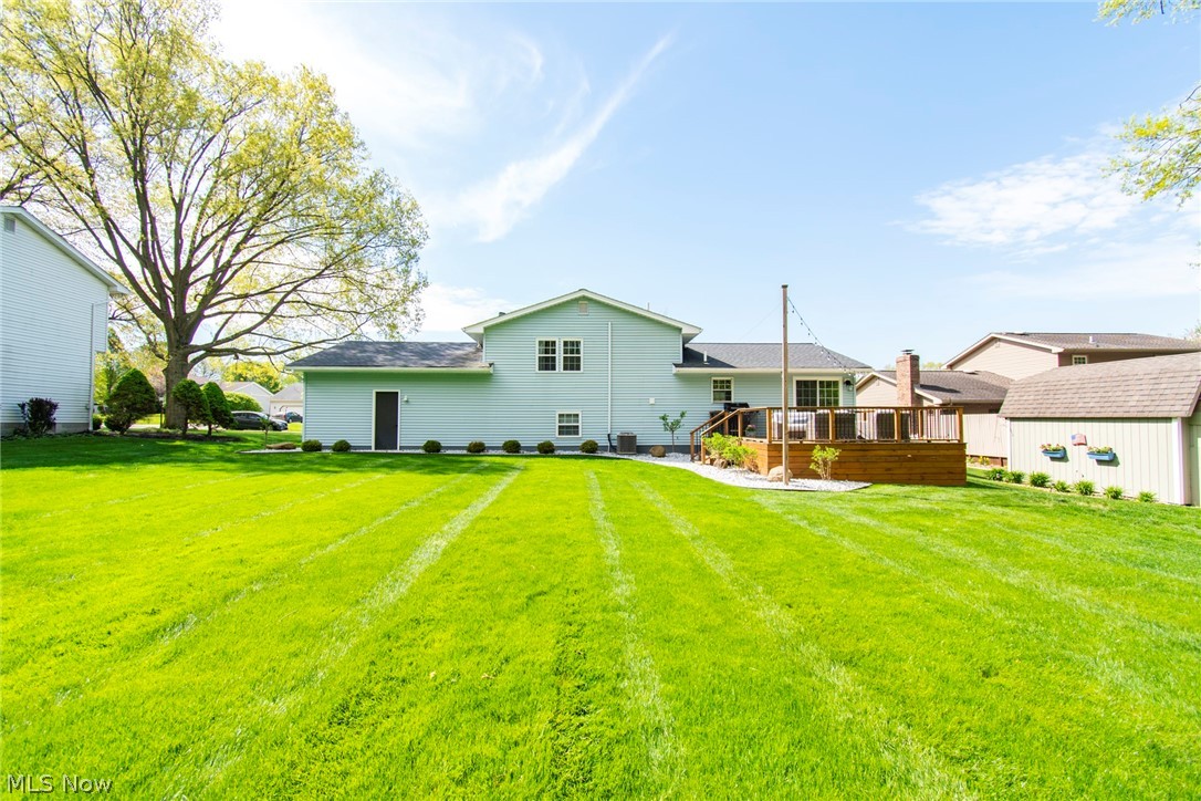 Angiline - Residential