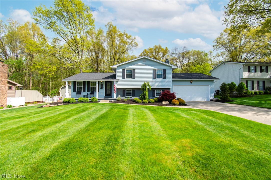 Angiline - Residential