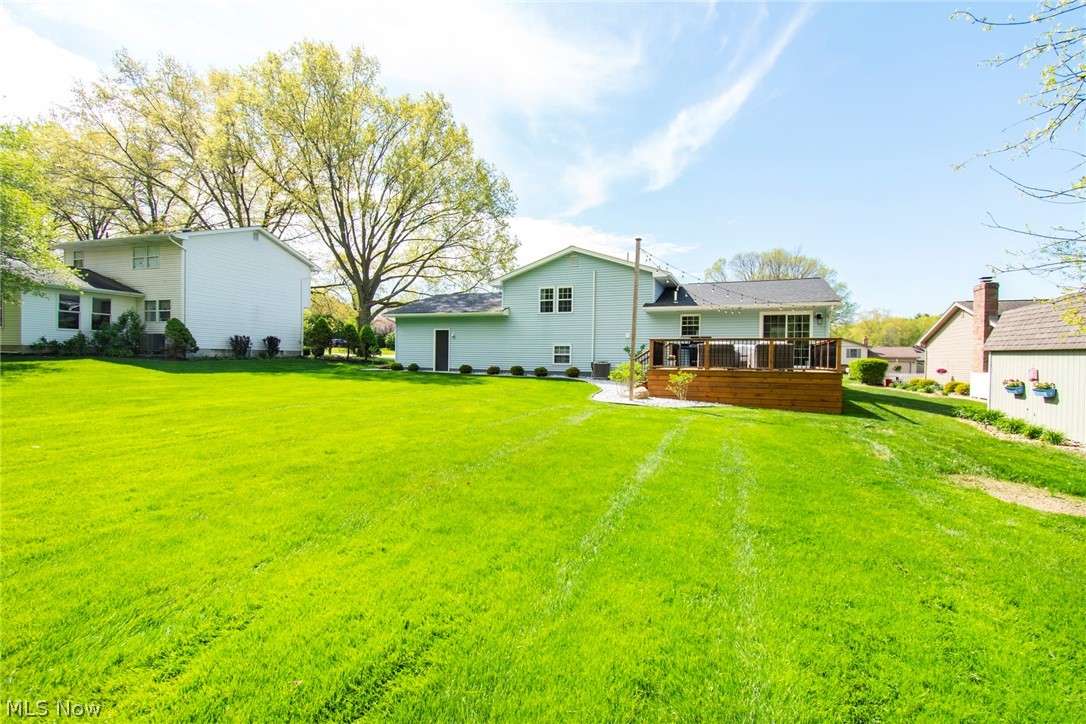 Angiline - Residential