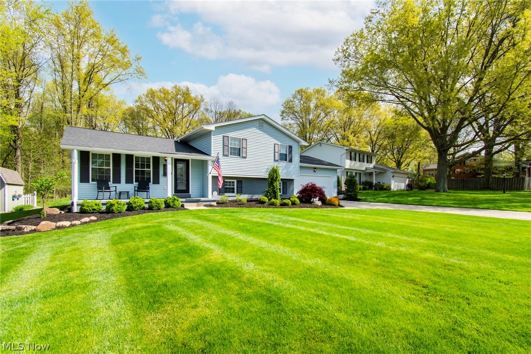 Angiline - Residential