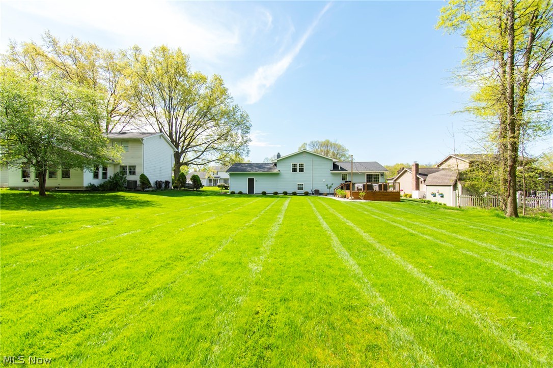 Angiline - Residential