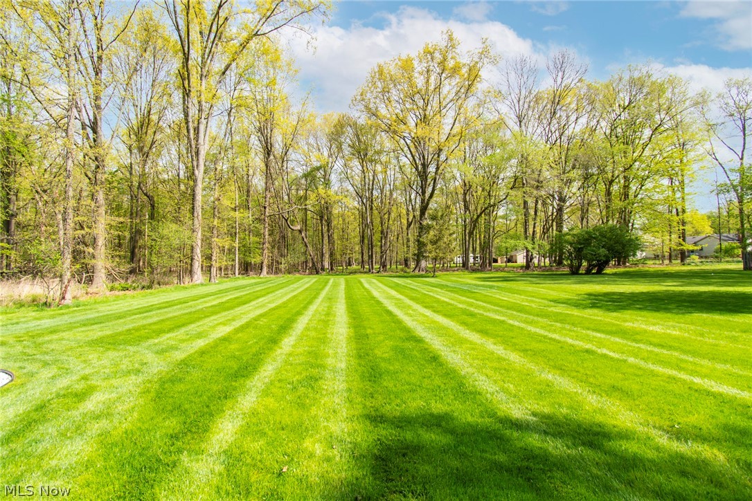 Angiline - Residential